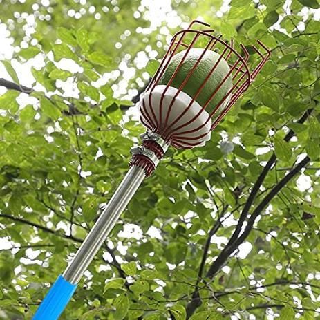 1 Set Fruit Picker Fruit Picking Tool